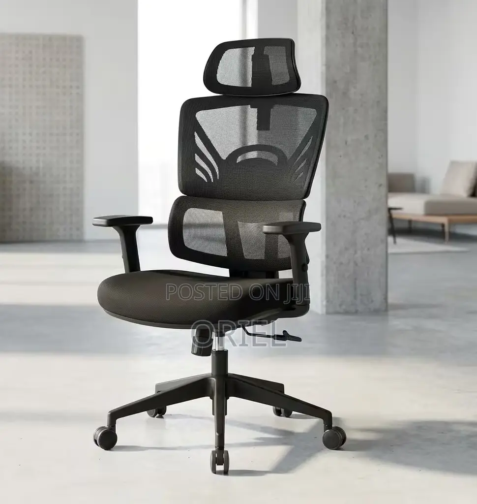 Office Chair : Orthopedic High-Back Mesh Chair