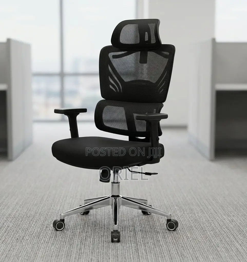 Office Chair : Orthopedic High-Back Mesh Chair