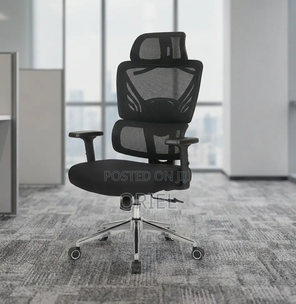 Office Chair : Orthopedic High-Back Mesh Chair