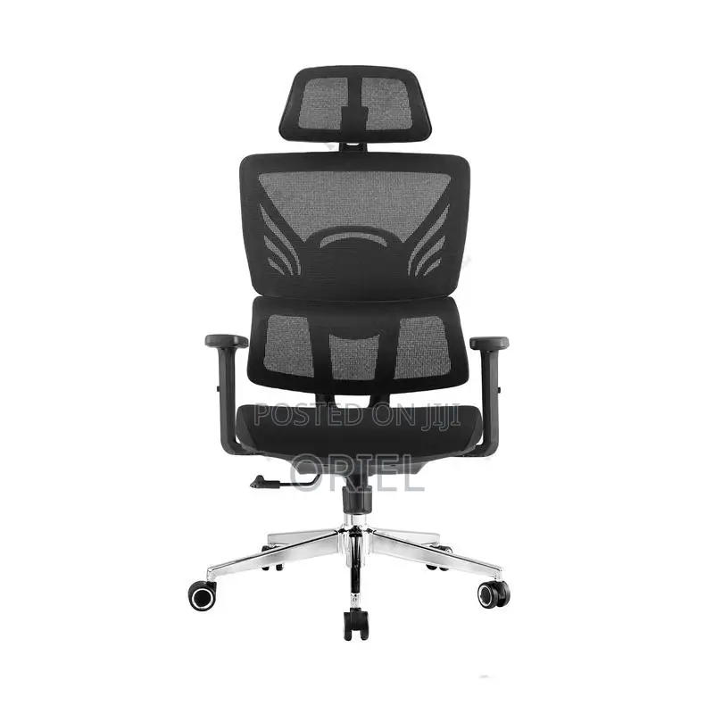 Office Chair : Orthopedic High-Back Mesh Chair