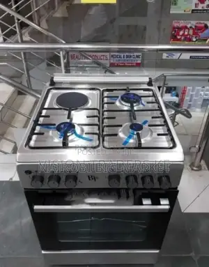 Light Silver BJS 60*60 Standing Cooker