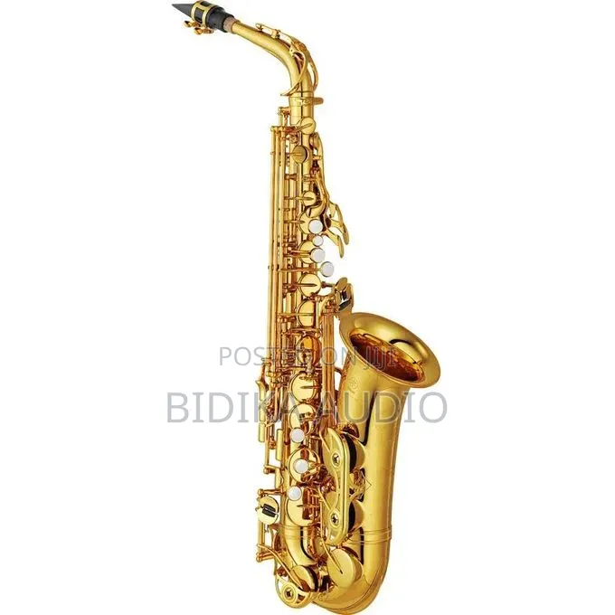 Professional Alto Saxophone Silver Gold