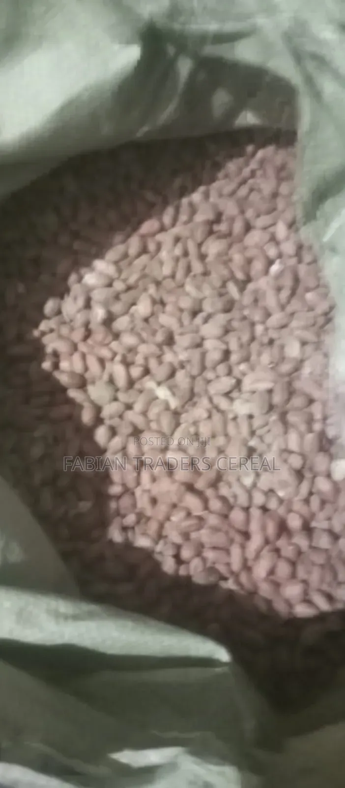 Animal and Pigs Feed