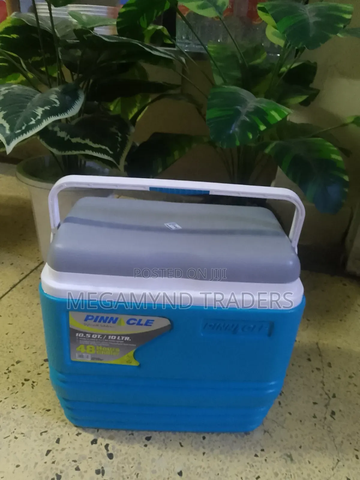 Cooler Box 10ltr / Pinnacle Cooler Box