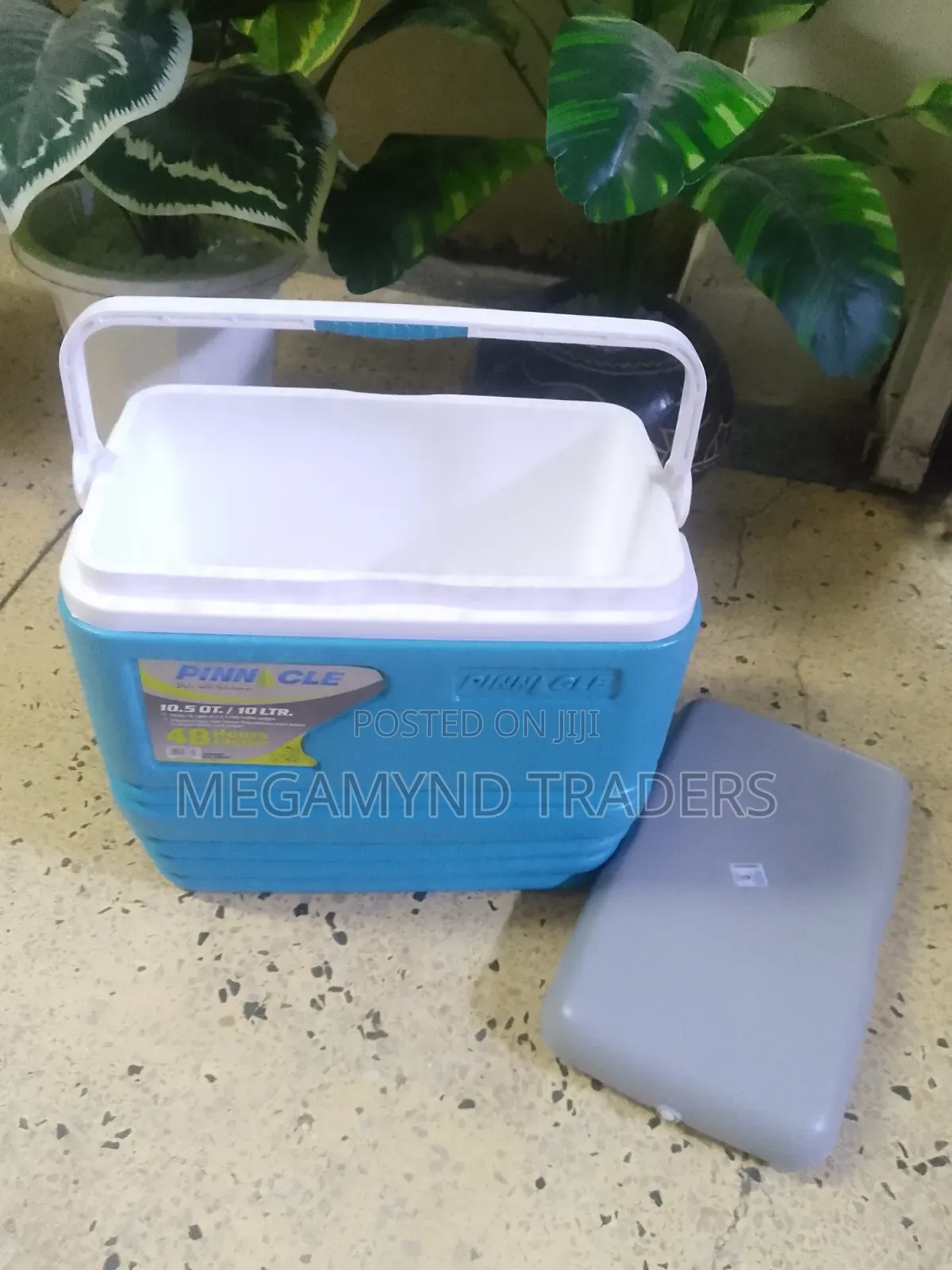 Cooler Box 10ltr / Pinnacle Cooler Box