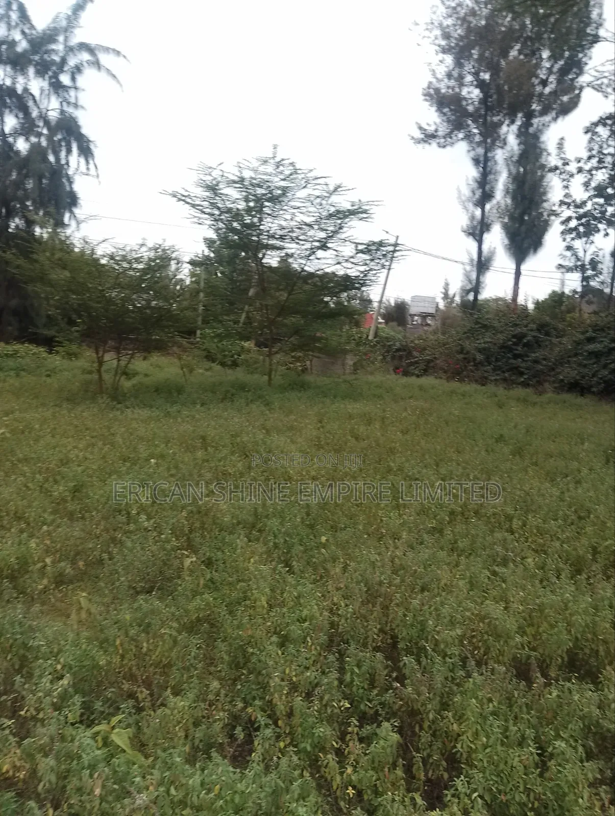 Prime 1 Acre for Sale in Karen