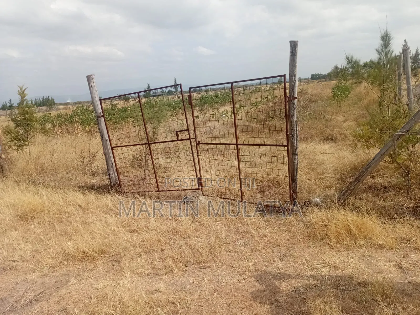 Land for Sell