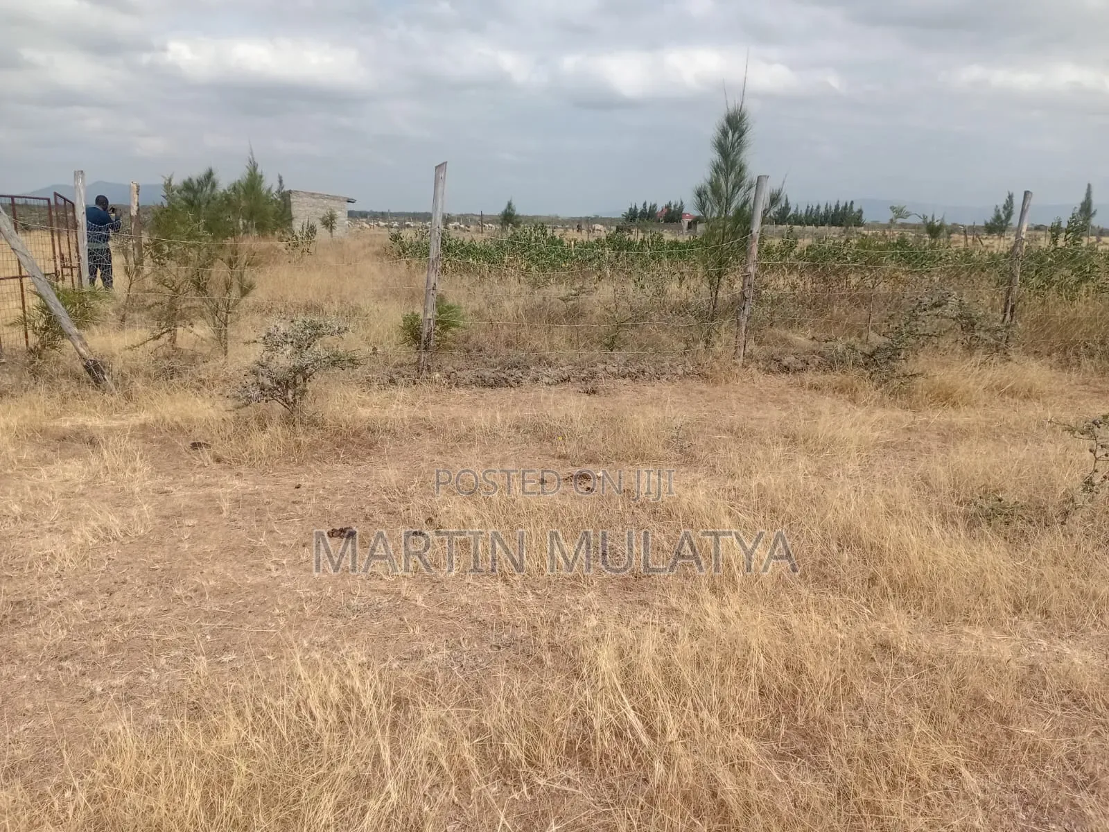 Land for Sell