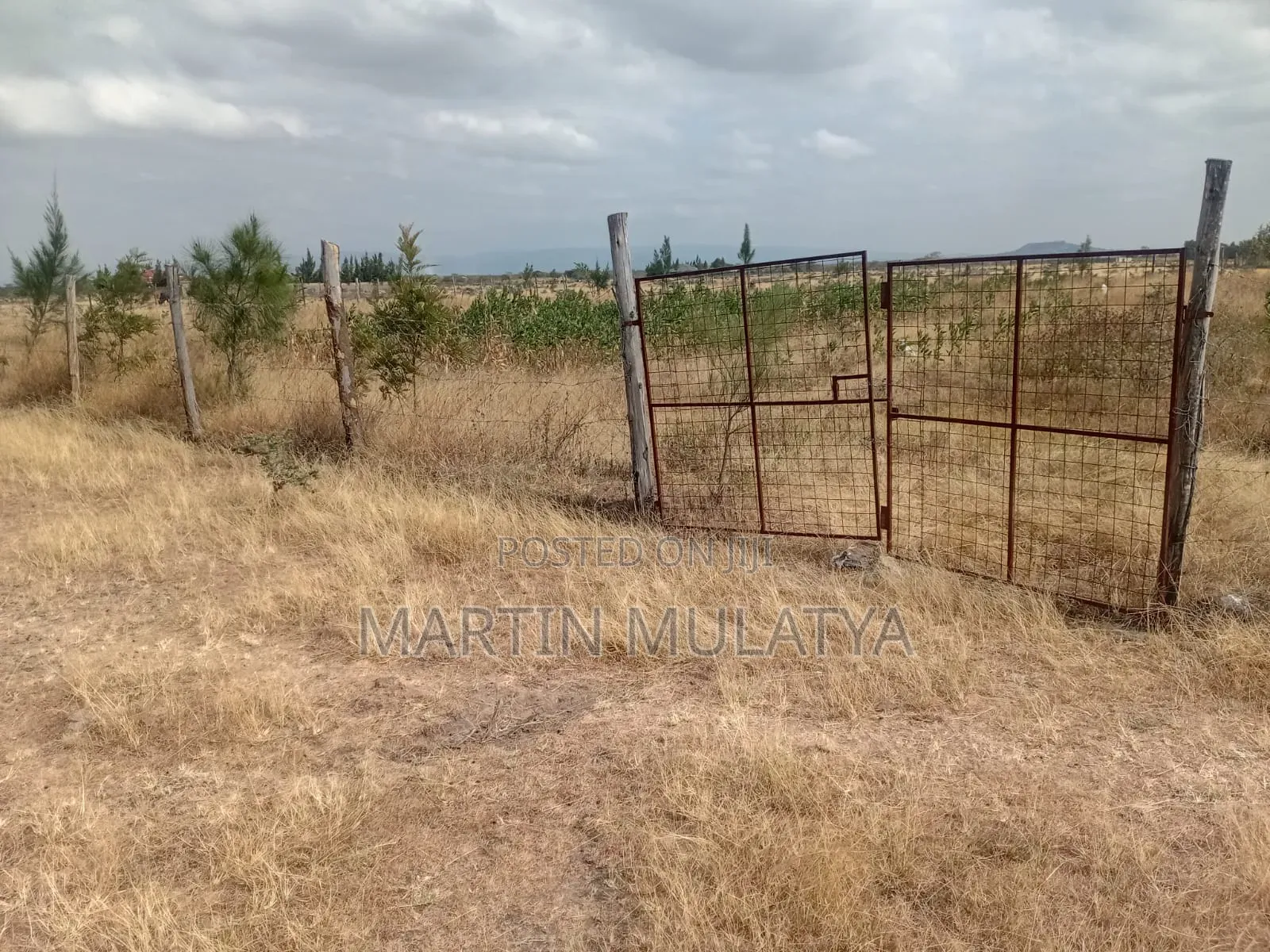 Land for Sell