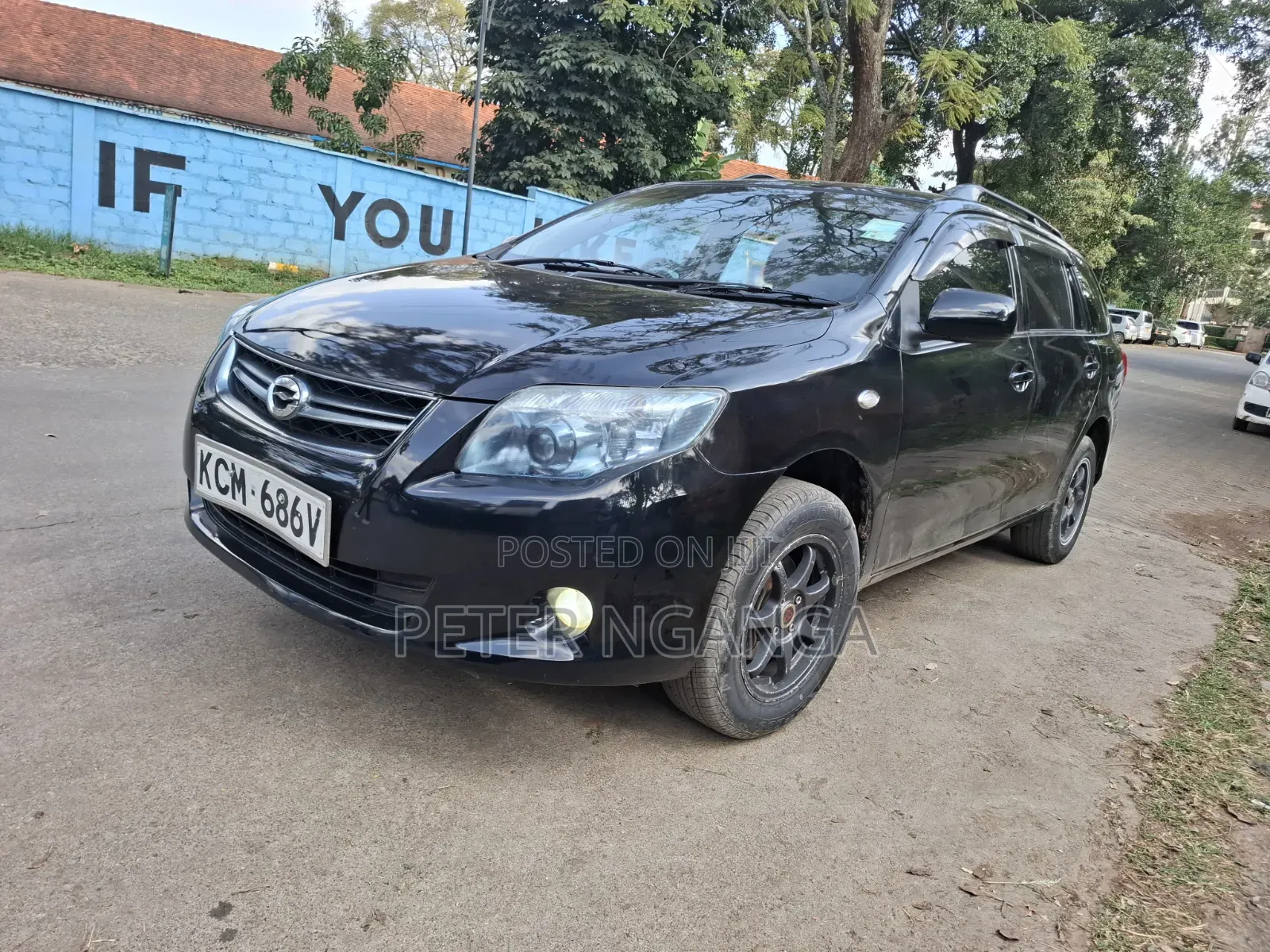 Toyota Corolla Fielder 2010 Black
