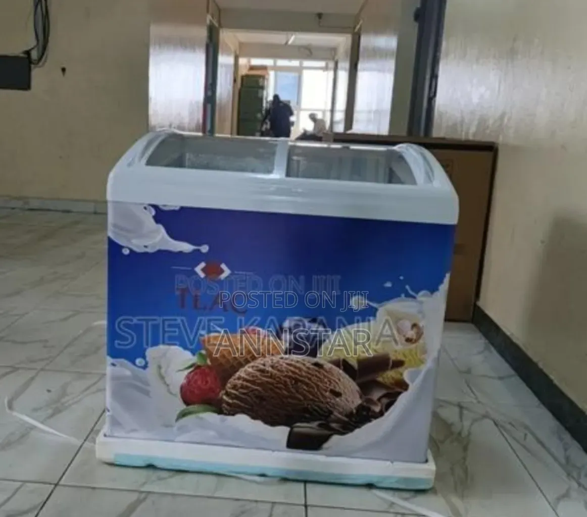 Premier 270l Display Freezer