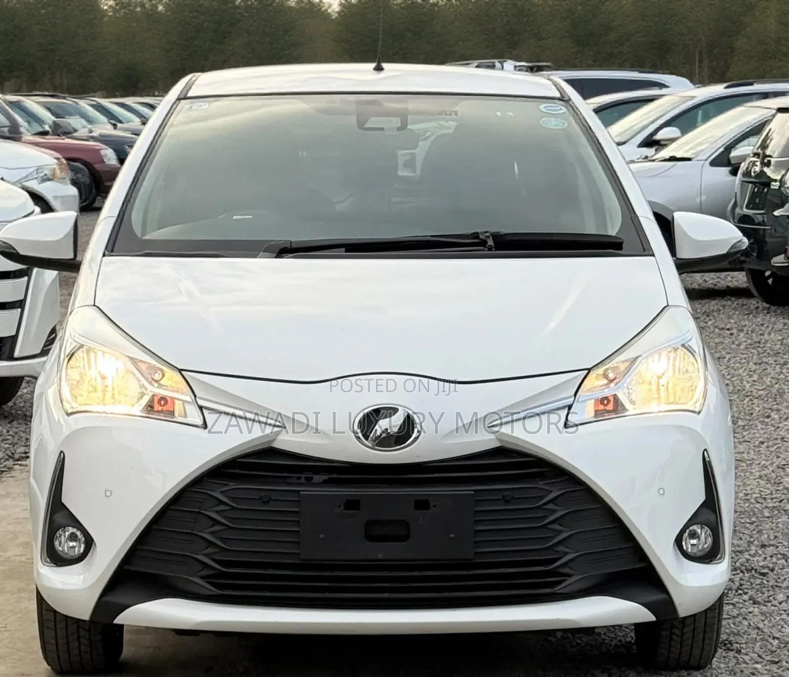 Toyota Vitz 2019 White