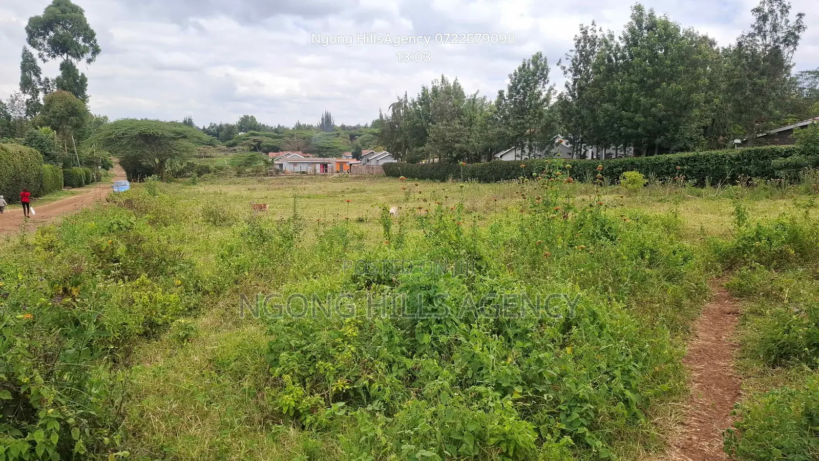 Prime 3/8-Acre Land for Sale in Ololua, Ngong