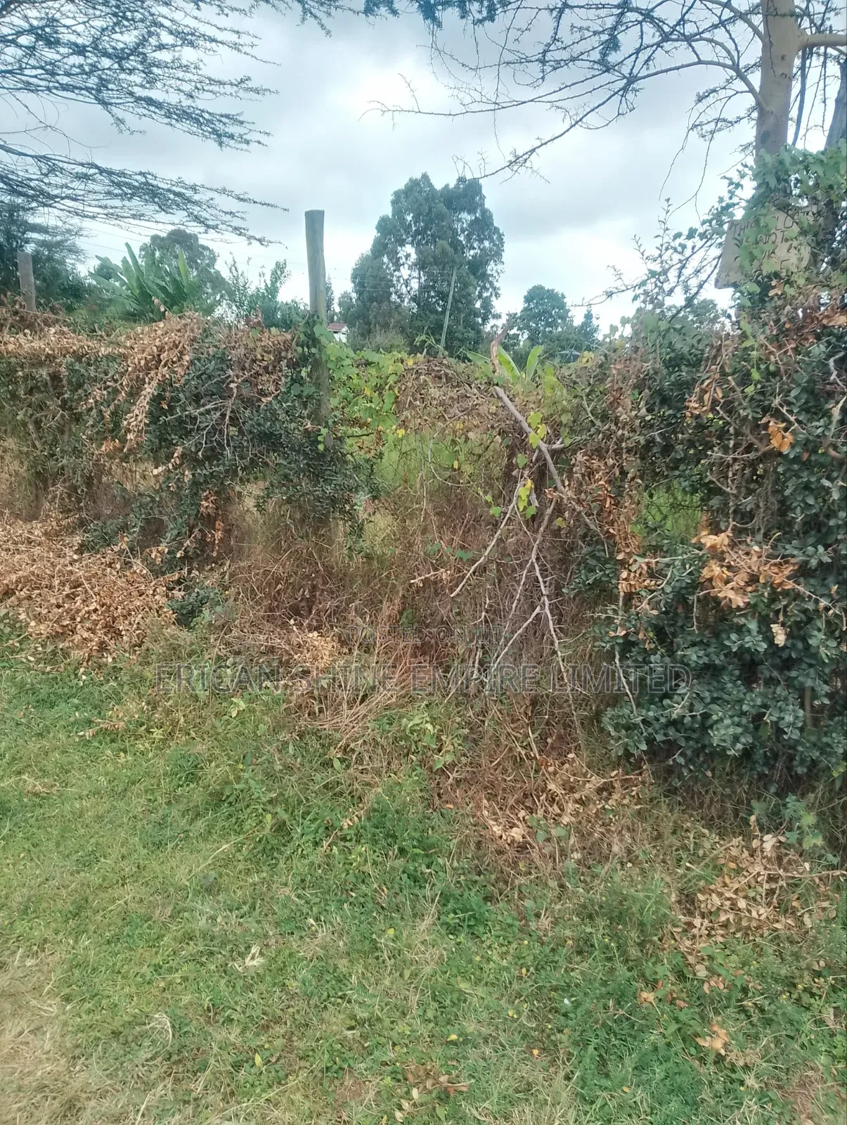 Land for Sale 1/2 in Karen