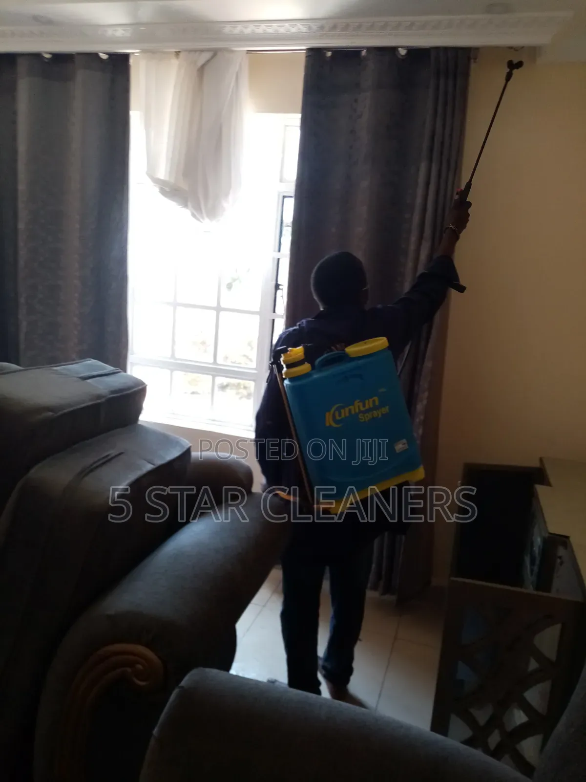 Your Home Is Pest-Free and Worry - Free From Cockroaches and Bedbugs