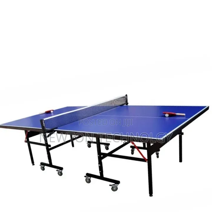 Professional Table Foldable Tennis (2740*1525*760)Mm