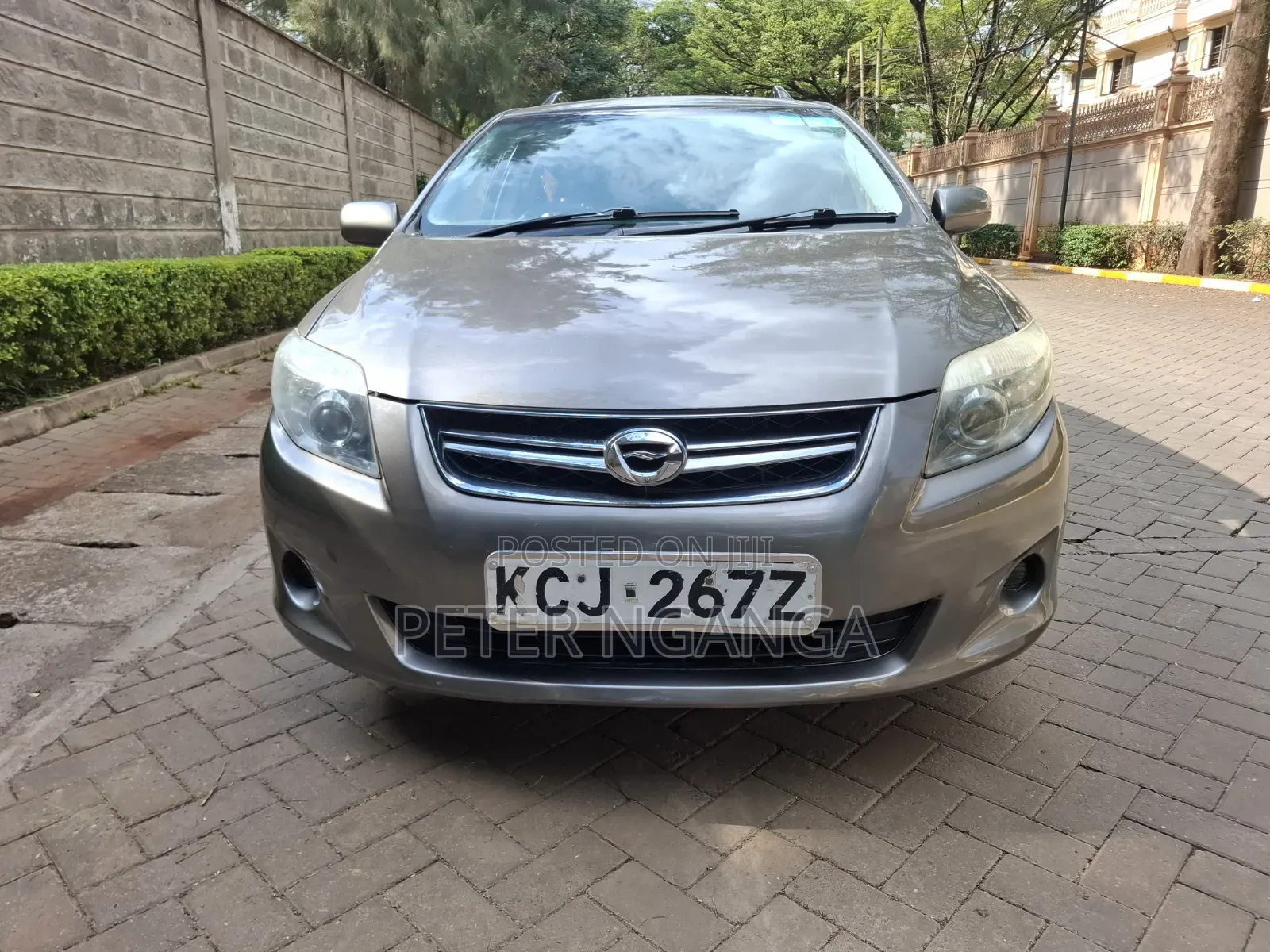 Toyota Corolla Fielder 2010 Gray