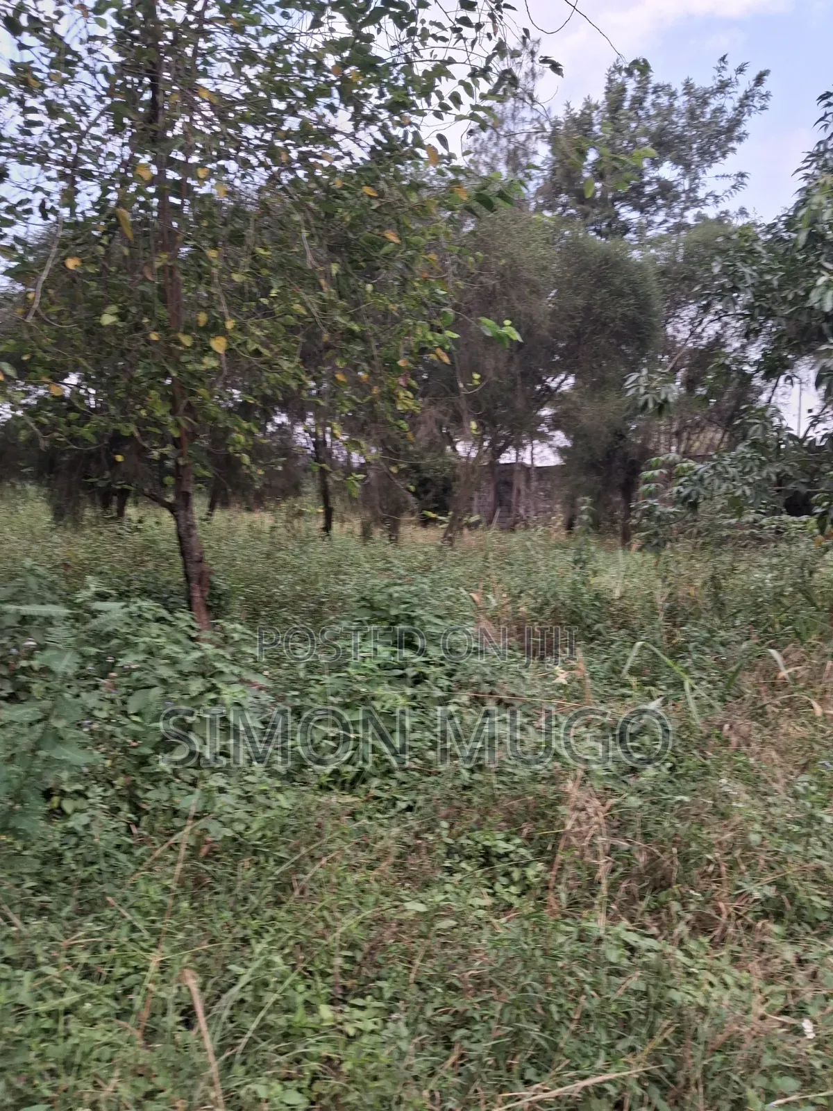 Kamiti Road Commercial 1/2 Acre to Let Fronting Main Kamiti Road
