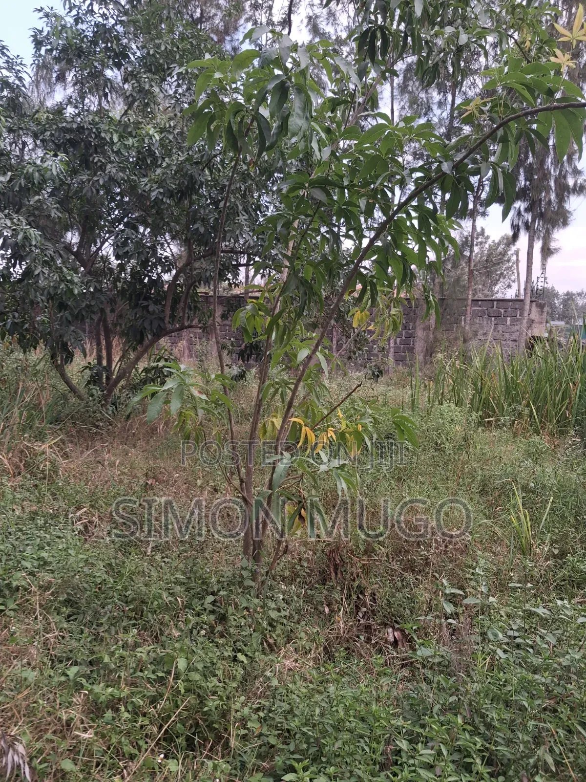 Kamiti Road Commercial 1/2 Acre to Let Fronting Main Kamiti Road