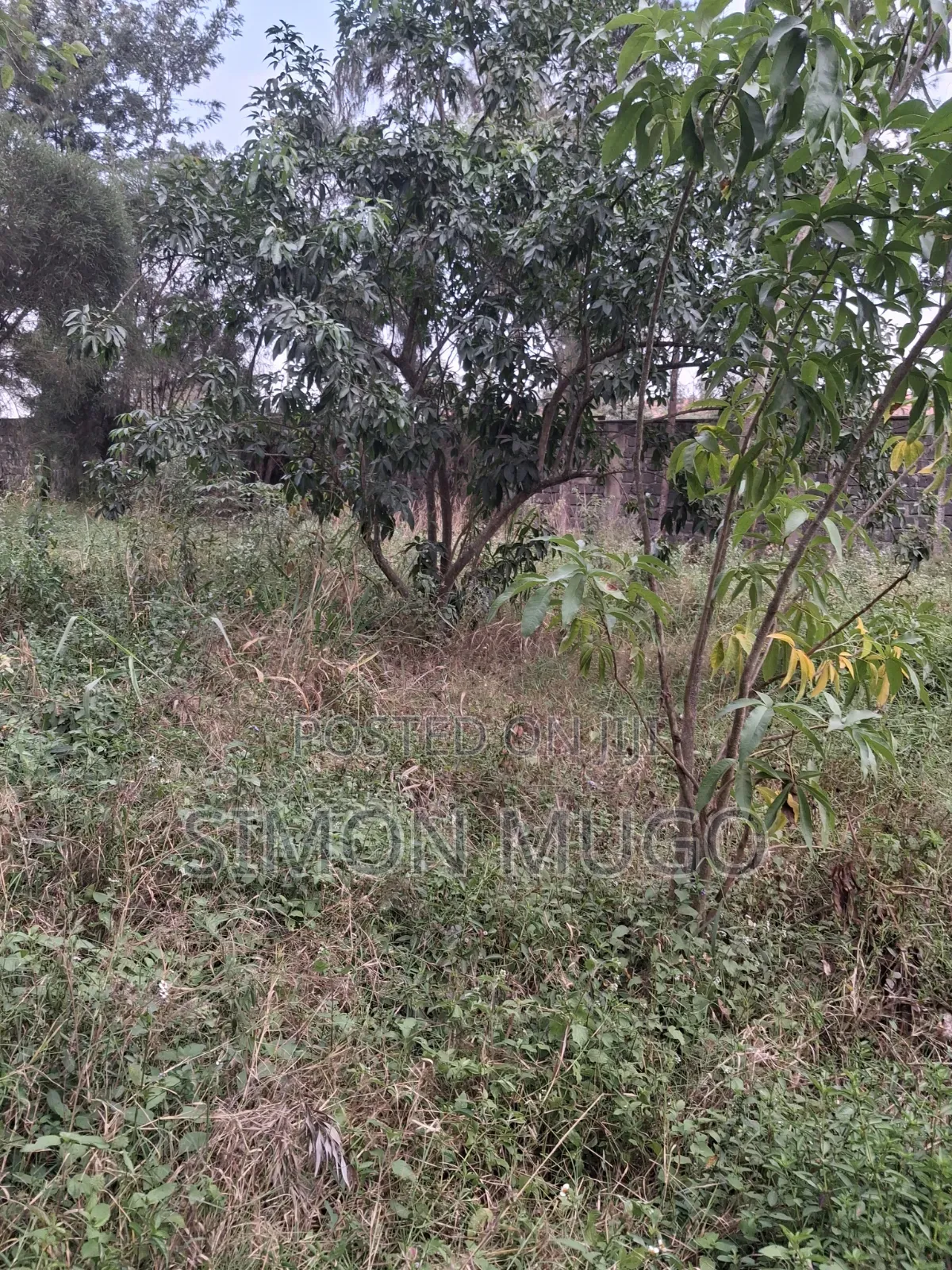 Kamiti Road Commercial 1/2 Acre to Let Fronting Main Kamiti Road