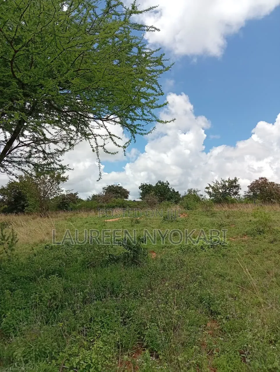 50*100 Plots for Sale in Matuu