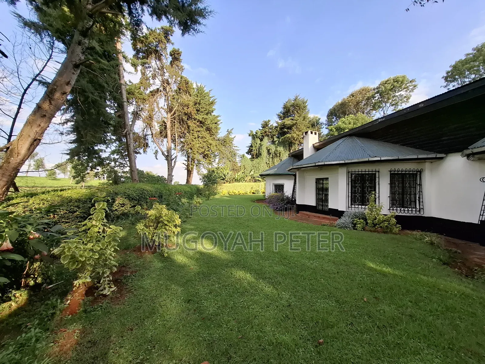 3bdrm Bungalow in Tigoni for rent