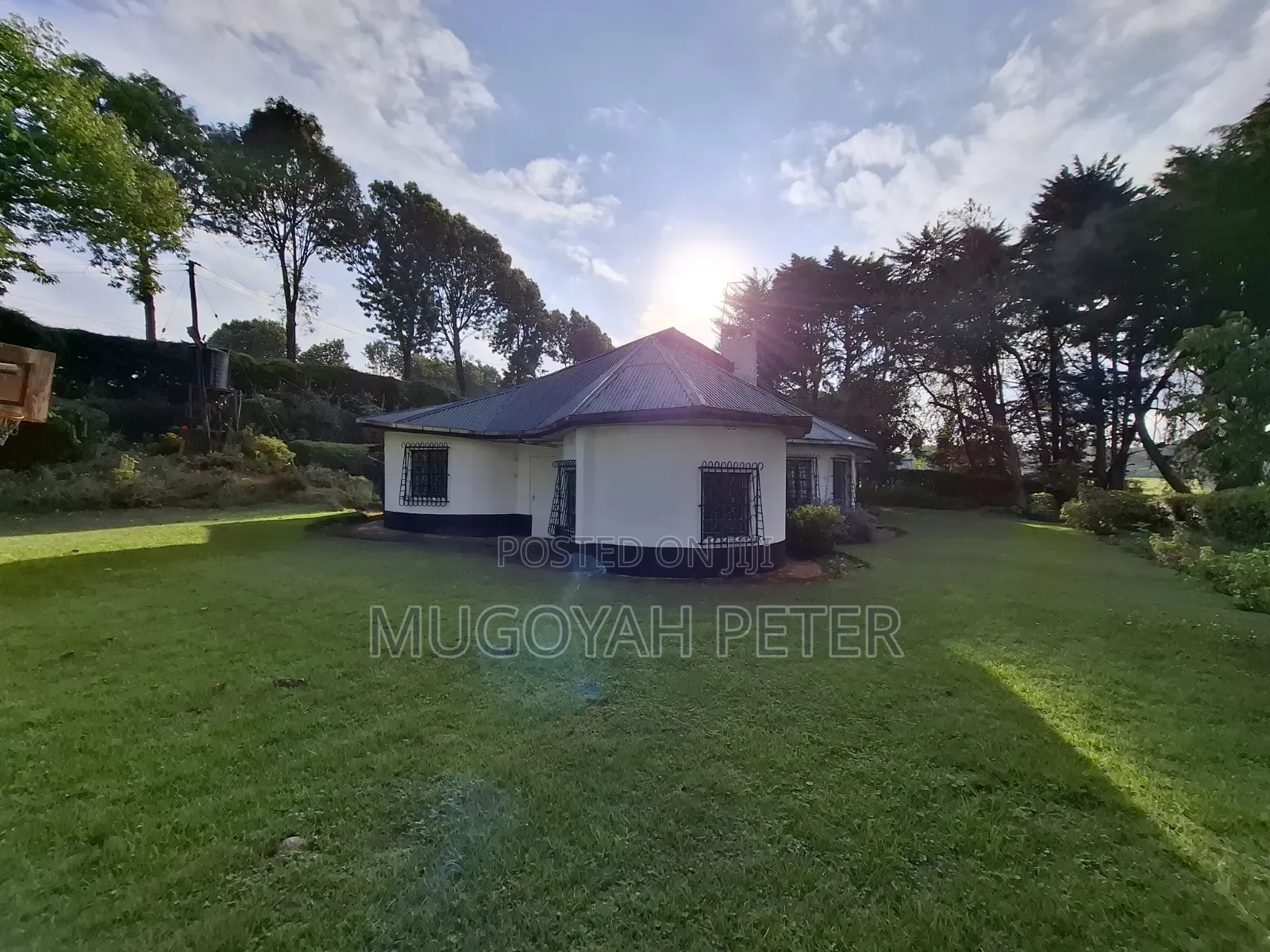 3bdrm Bungalow in Tigoni for rent