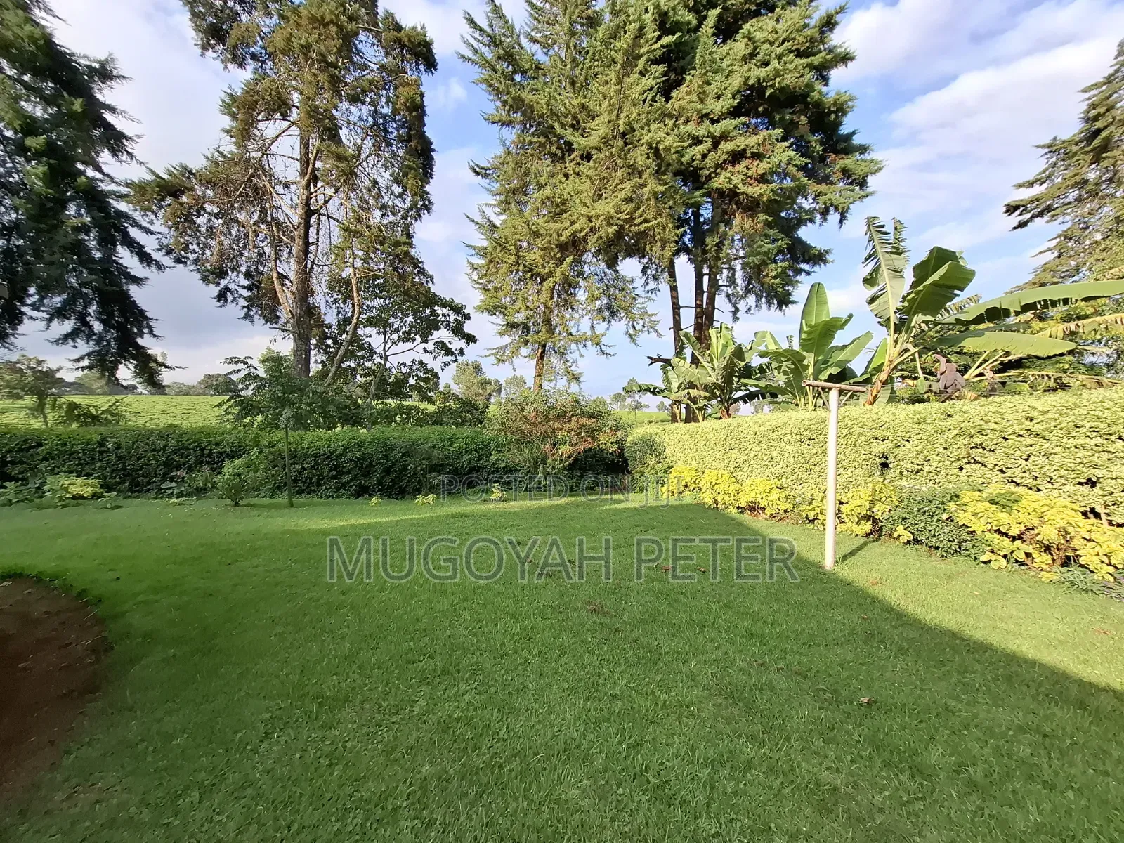 3bdrm Bungalow in Tigoni for rent
