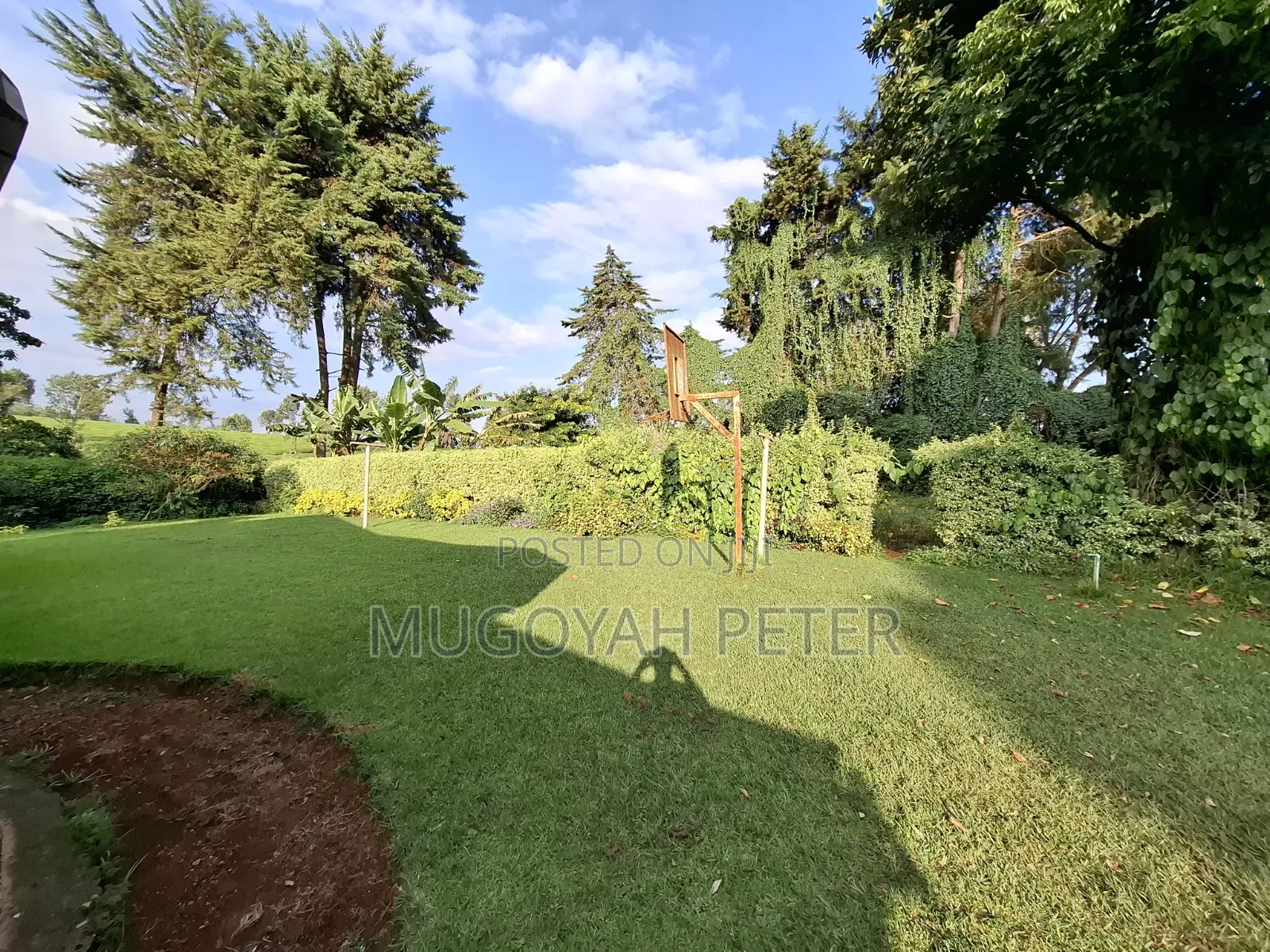 3bdrm Bungalow in Tigoni for rent