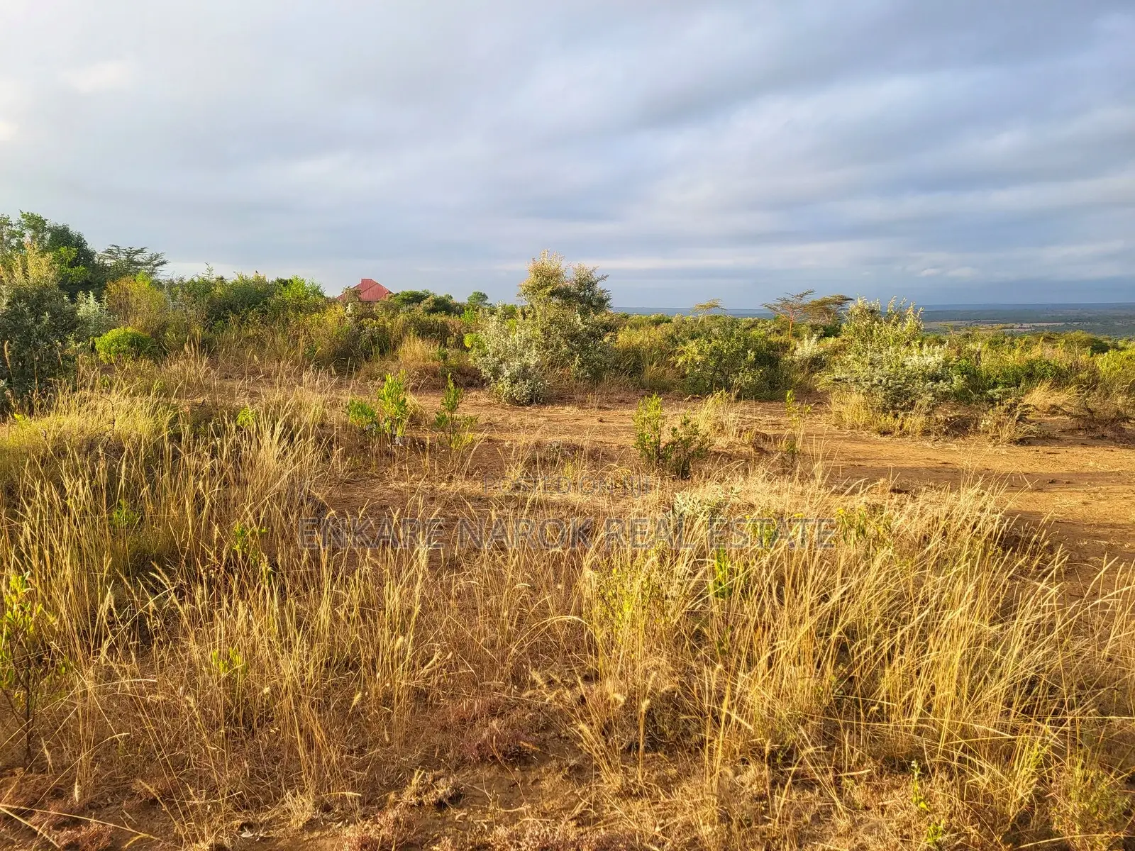 50x100 Plots for Sale in Narok Olepolos–| Near Maasai Mara College