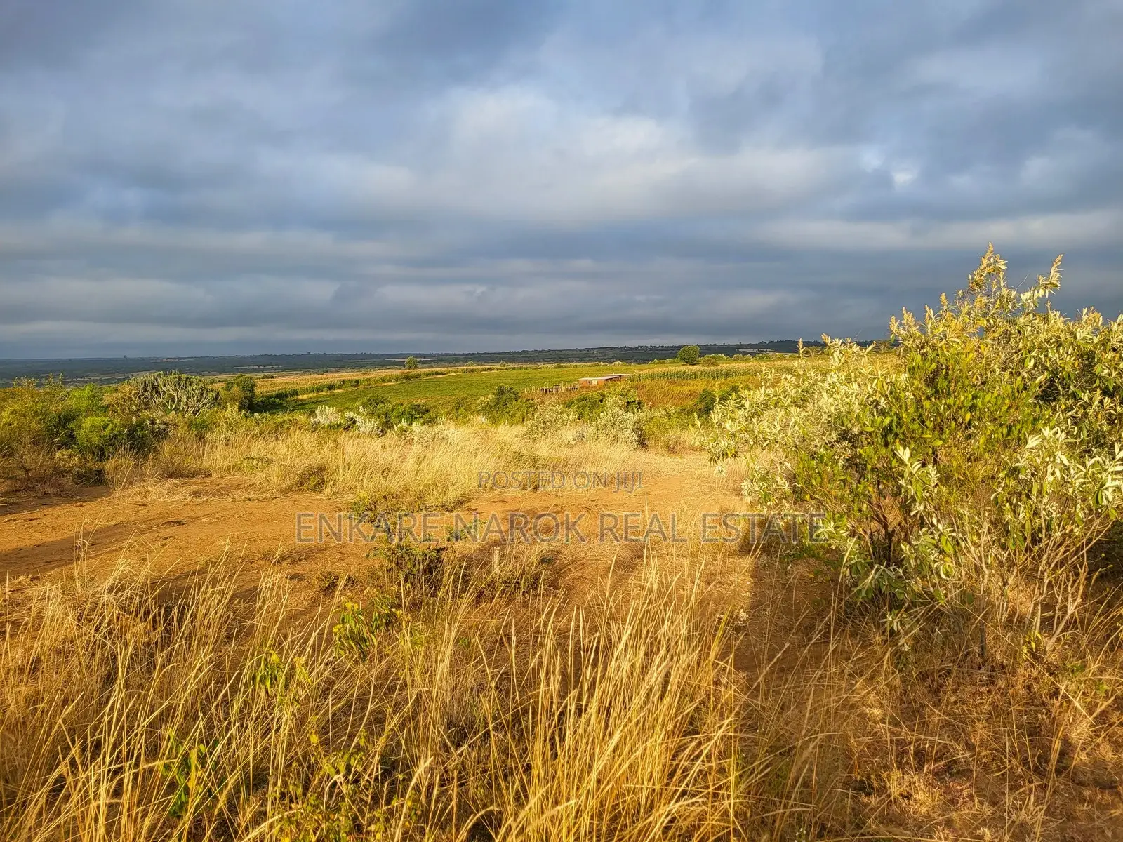 50x100 Plots for Sale in Narok Olepolos–| Near Maasai Mara College