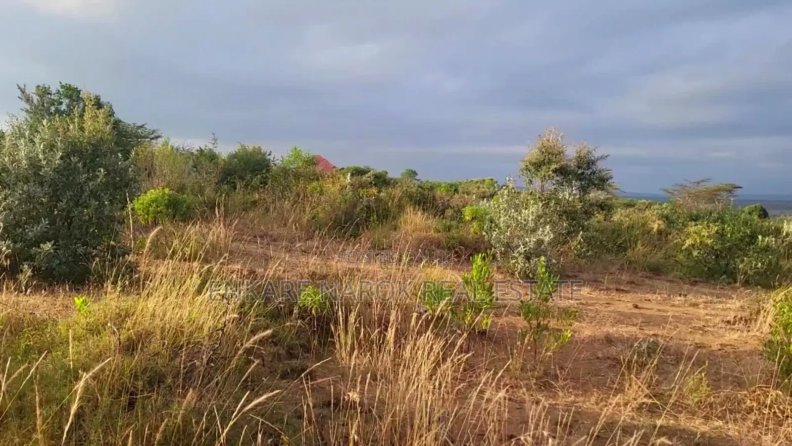 50x100 Plots for Sale in Narok Olepolos–| Near Maasai Mara College