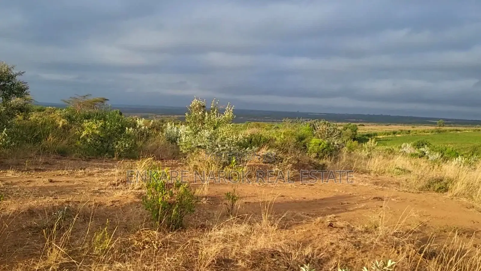 50x100 Plots for Sale in Narok Olepolos–| Near Maasai Mara College