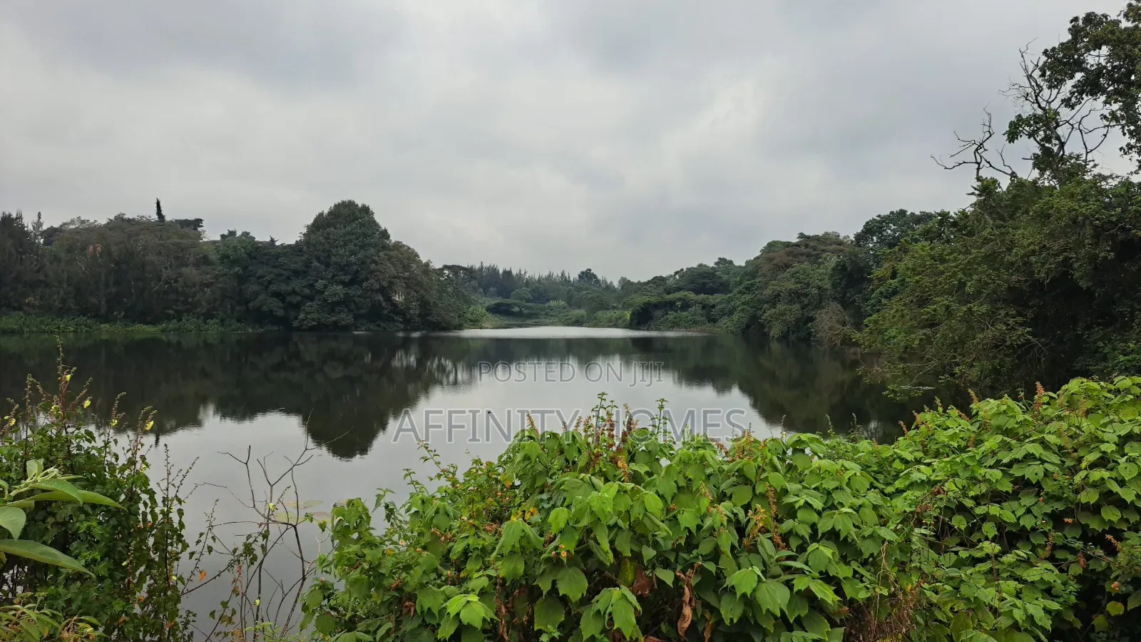 Premium1/4 Acre Plots for Sale at Migaa