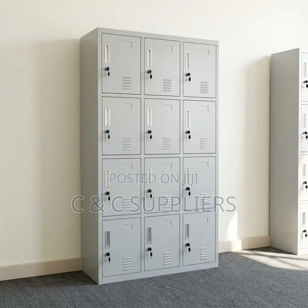 12-Door's Metallic File Locker
