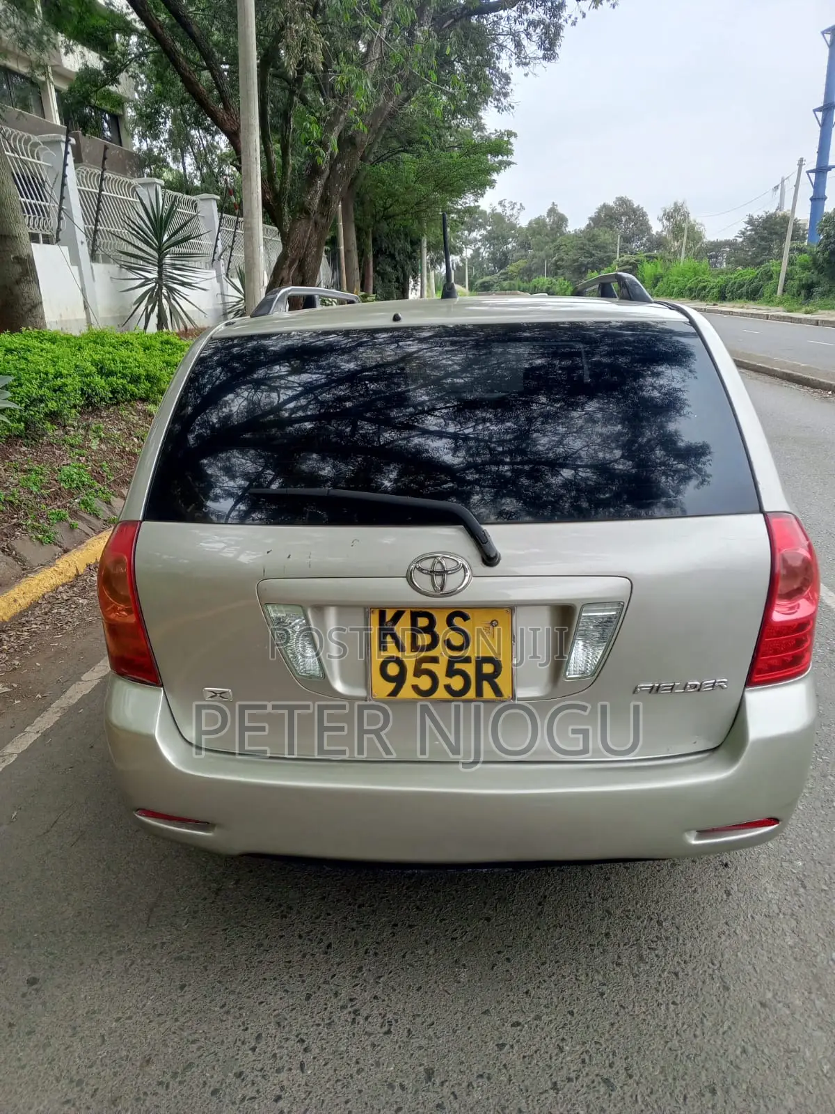 Toyota Corolla Fielder 2007 Gray