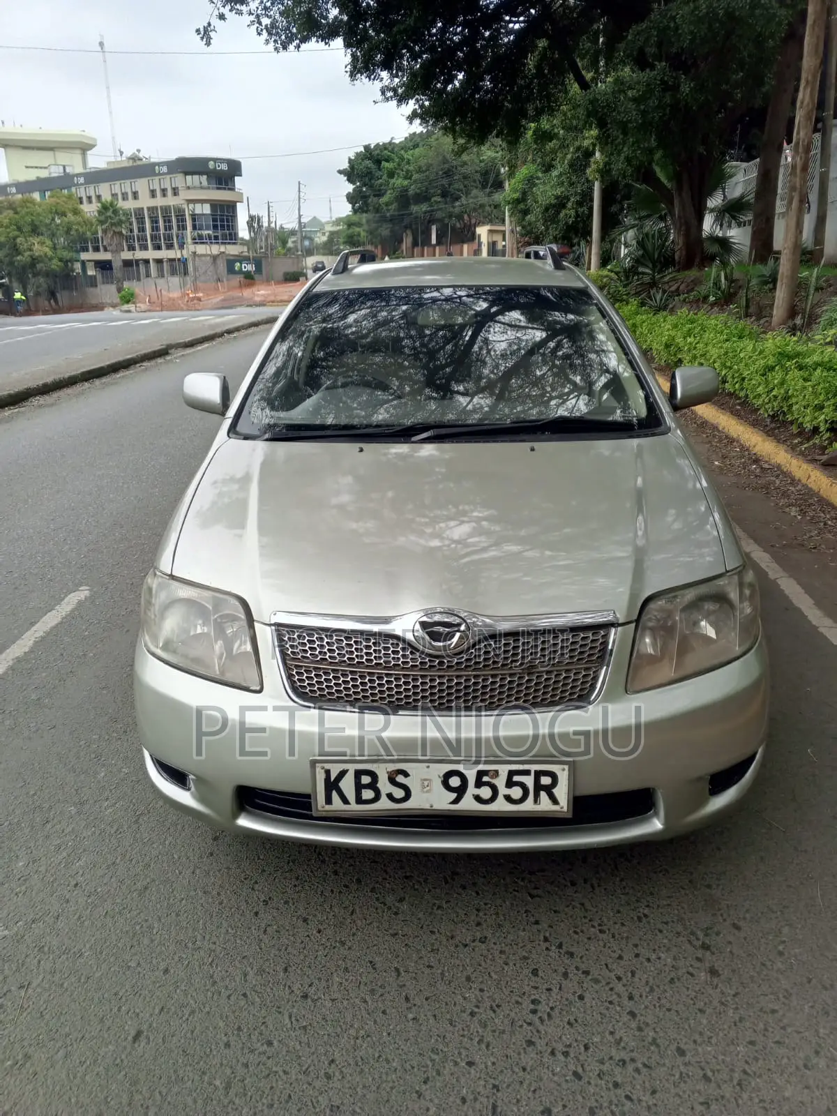 Toyota Corolla Fielder 2007 Gray