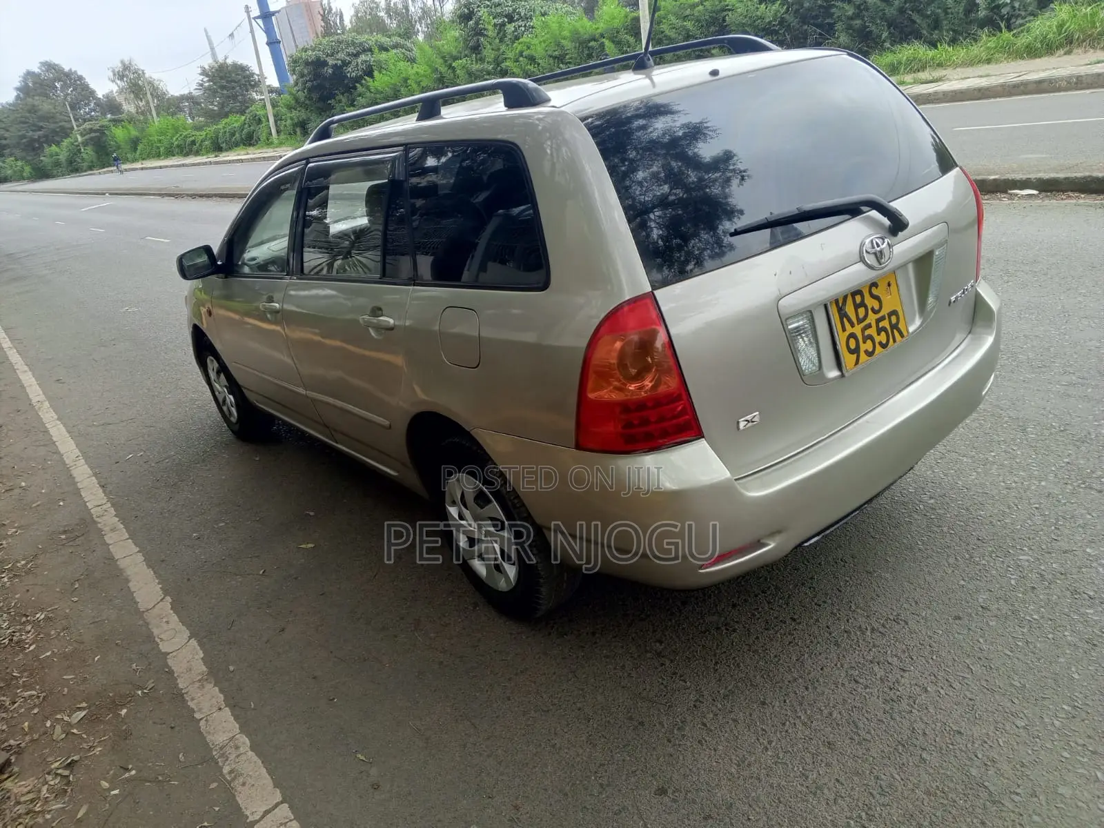 Toyota Corolla Fielder 2007 Gray