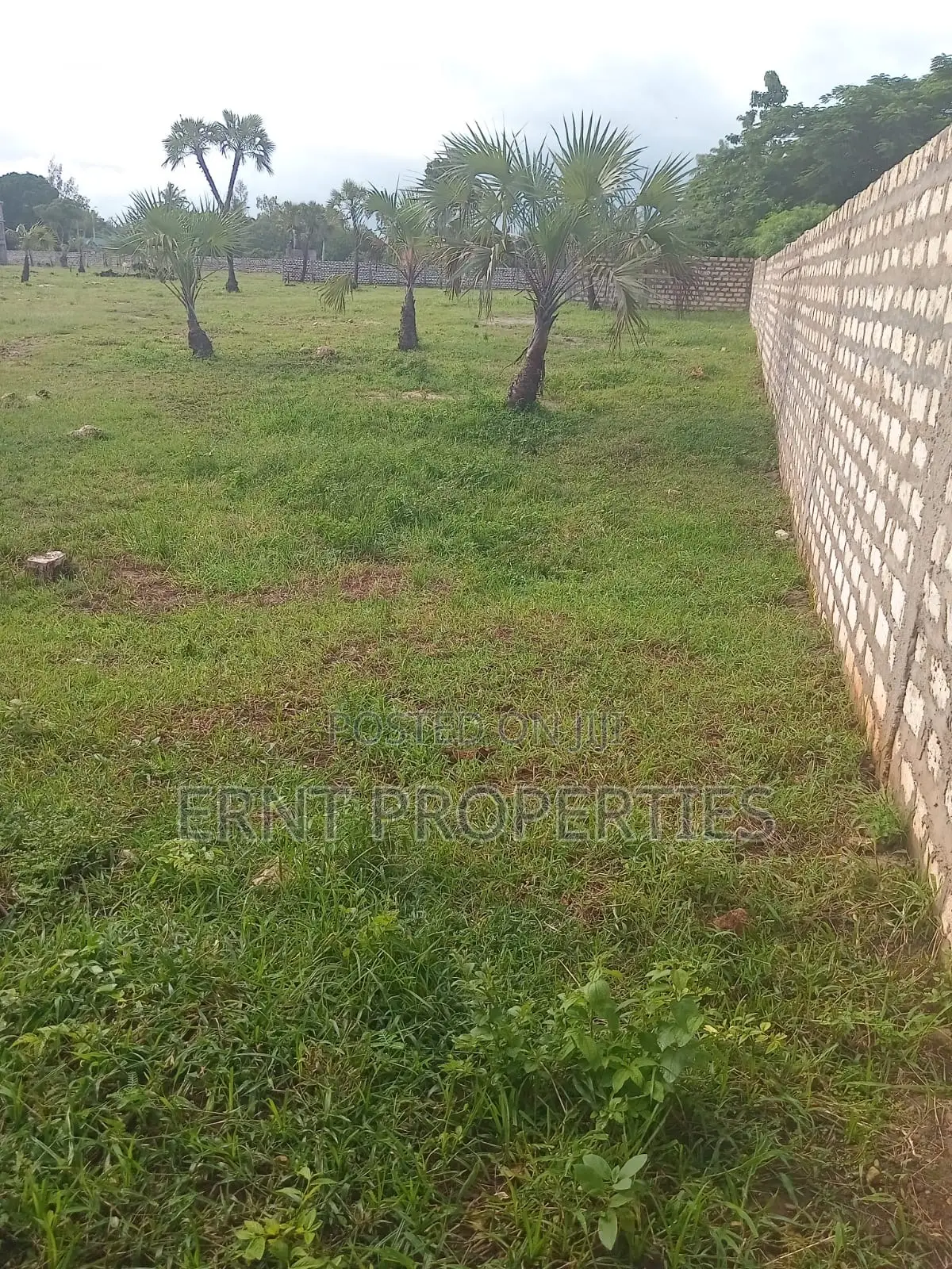 Prime 1.25 Acres for Sale in Diani -15 Minutes to the Beach