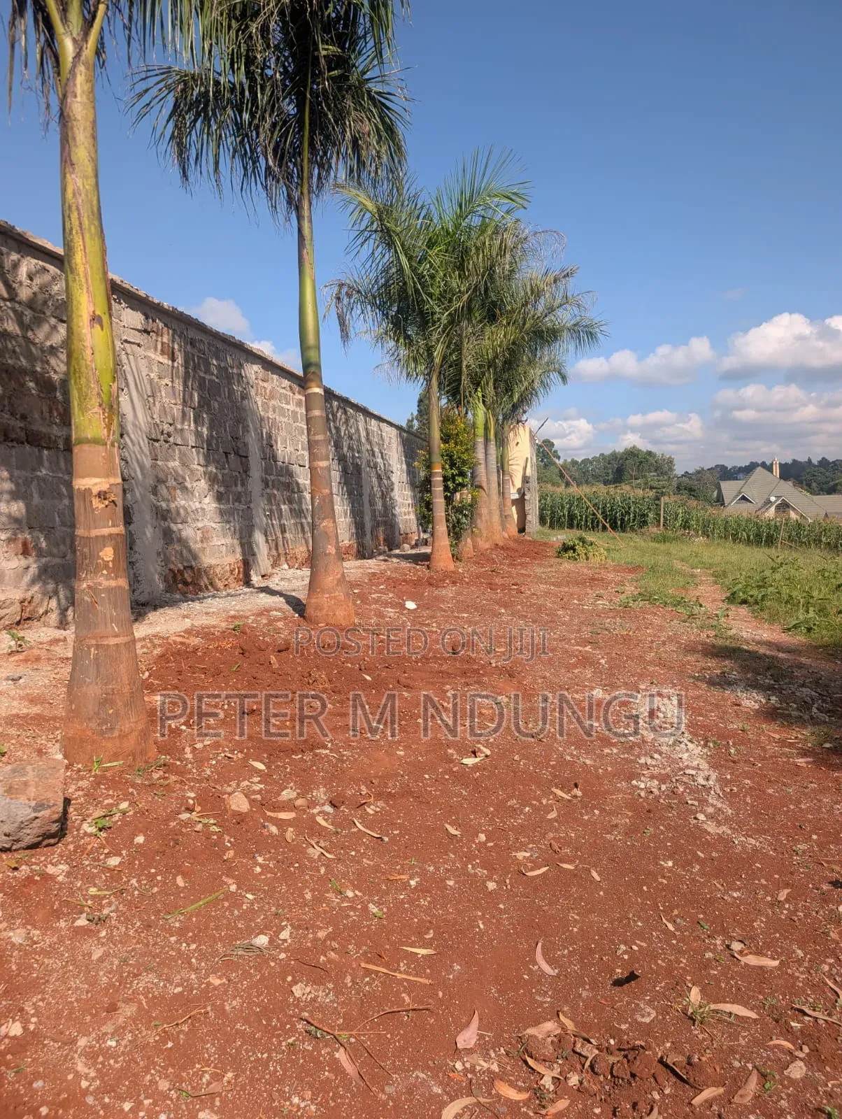 Muthithi-Njathaini Rd, Valley View Estate Opposite Kist, 1/2 Acre