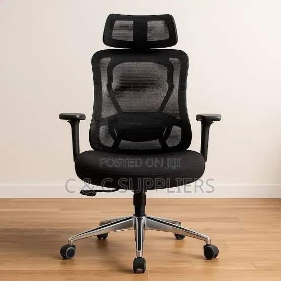 Modern Orthopedic Chair With Lumber Support