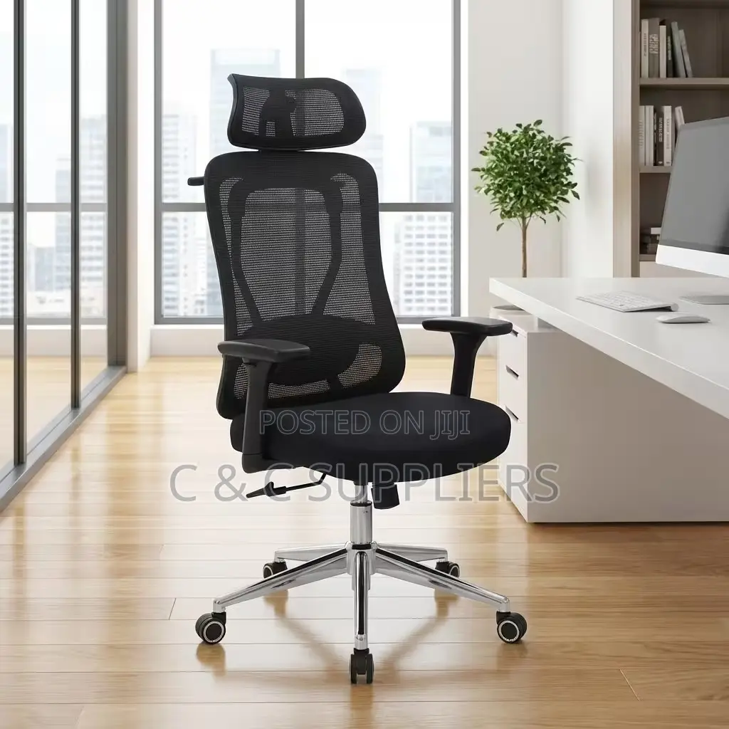 Modern Orthopedic Chair With Lumber Support