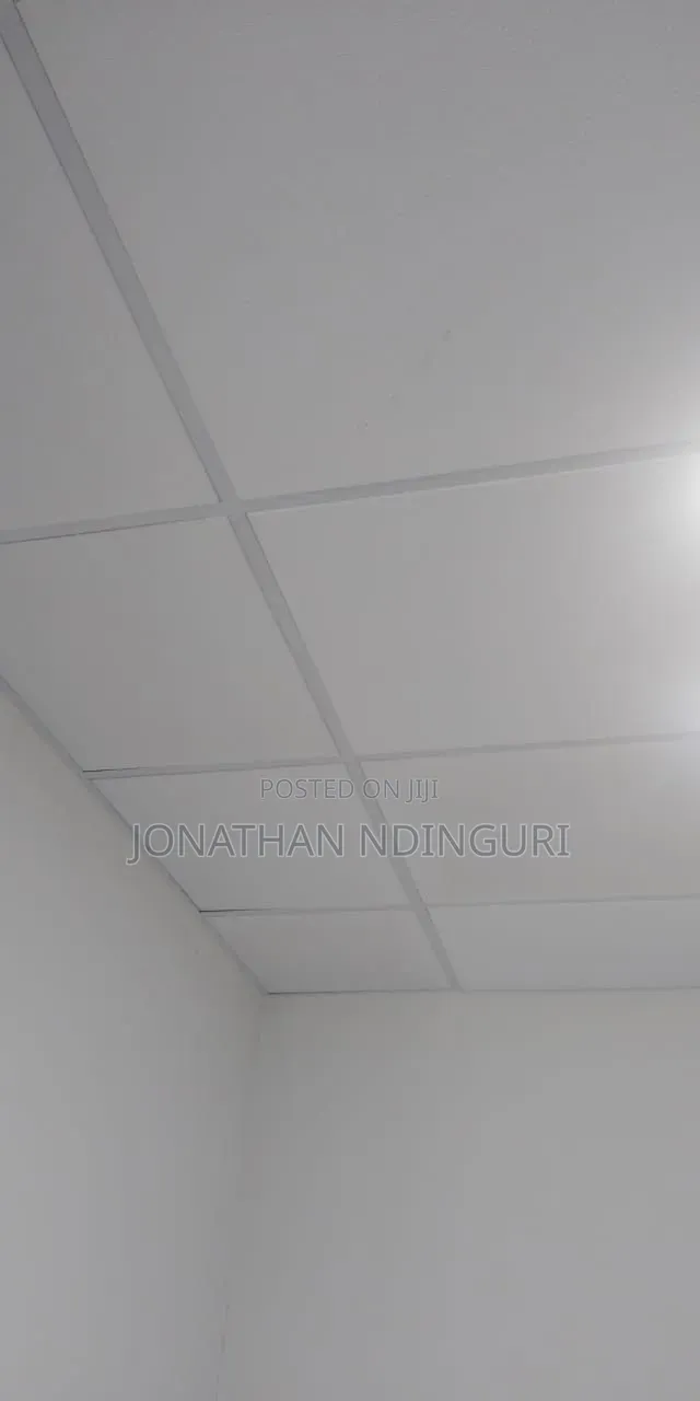 Acoustic Ceiling Panels – Sound Absorbing Ceiling Solution