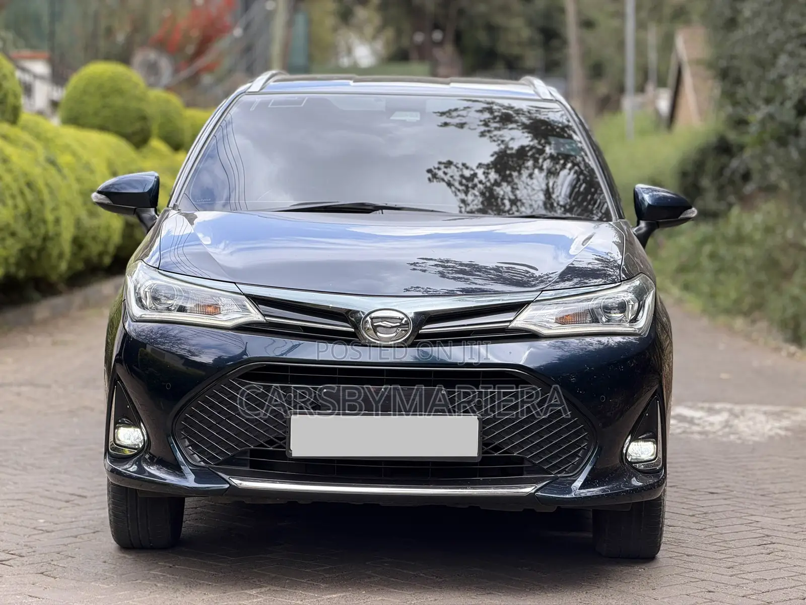 Toyota Corolla Fielder 2019 Blue