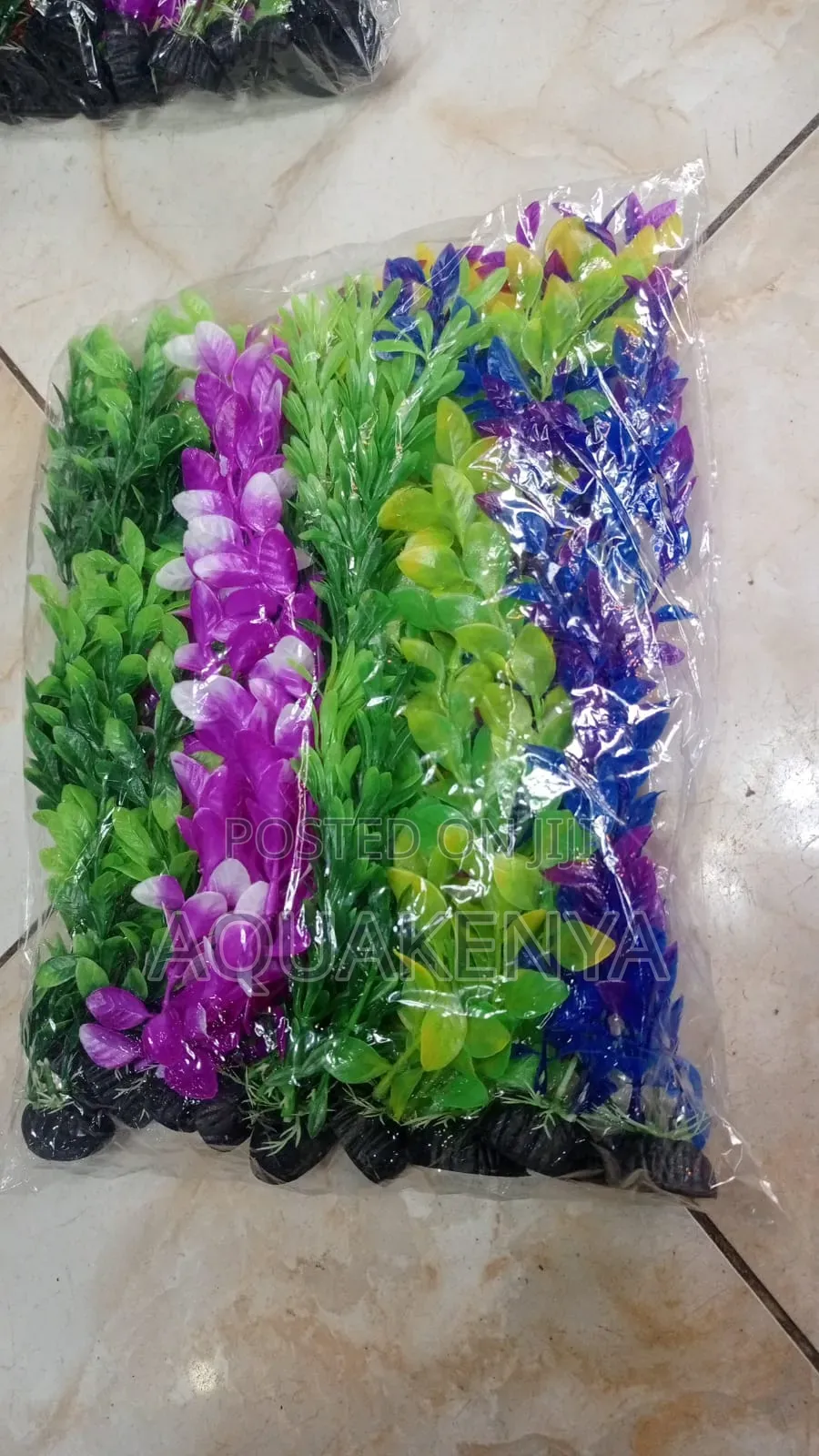 Tall Aquarium Plants,Plants for Tanks