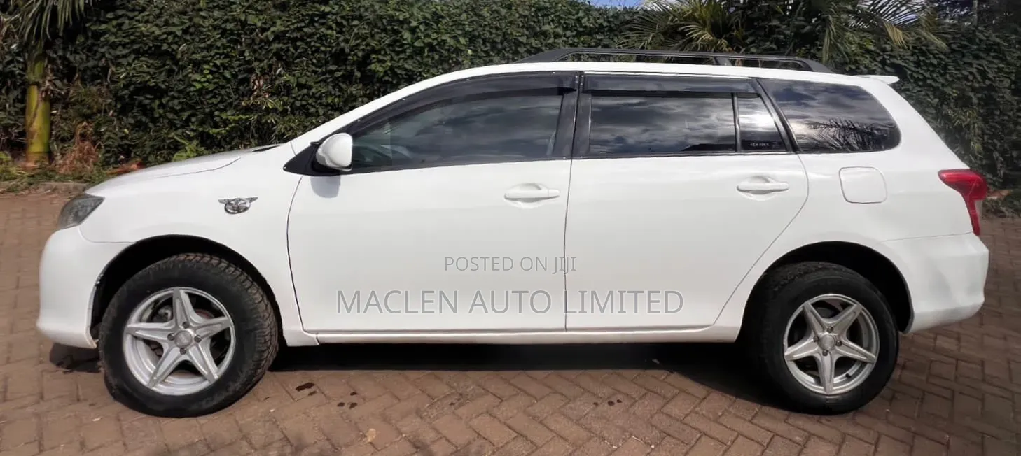 Toyota Corolla Fielder 2009 White