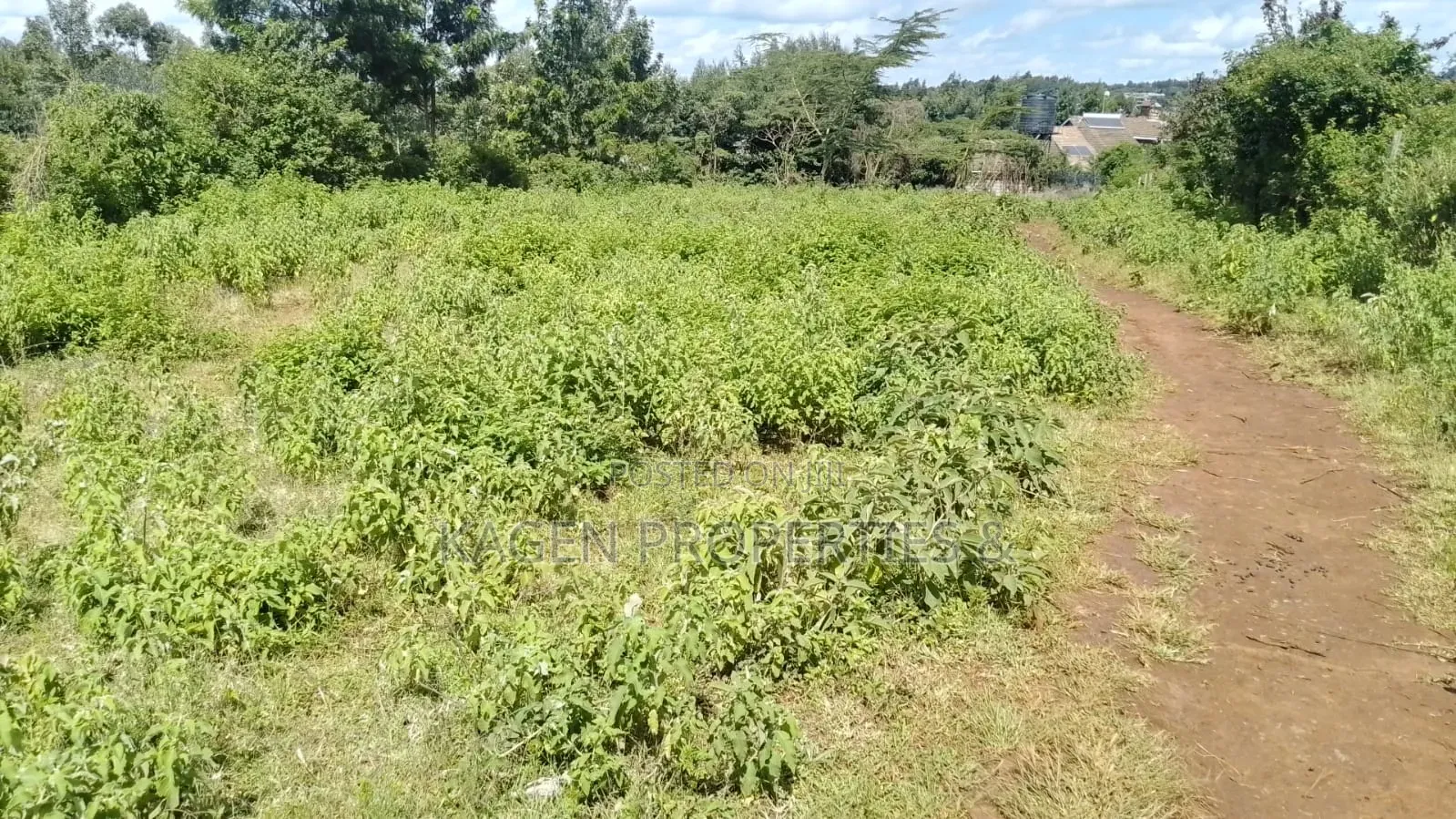 0.5 Acres in Kibiko Ngong for Sale