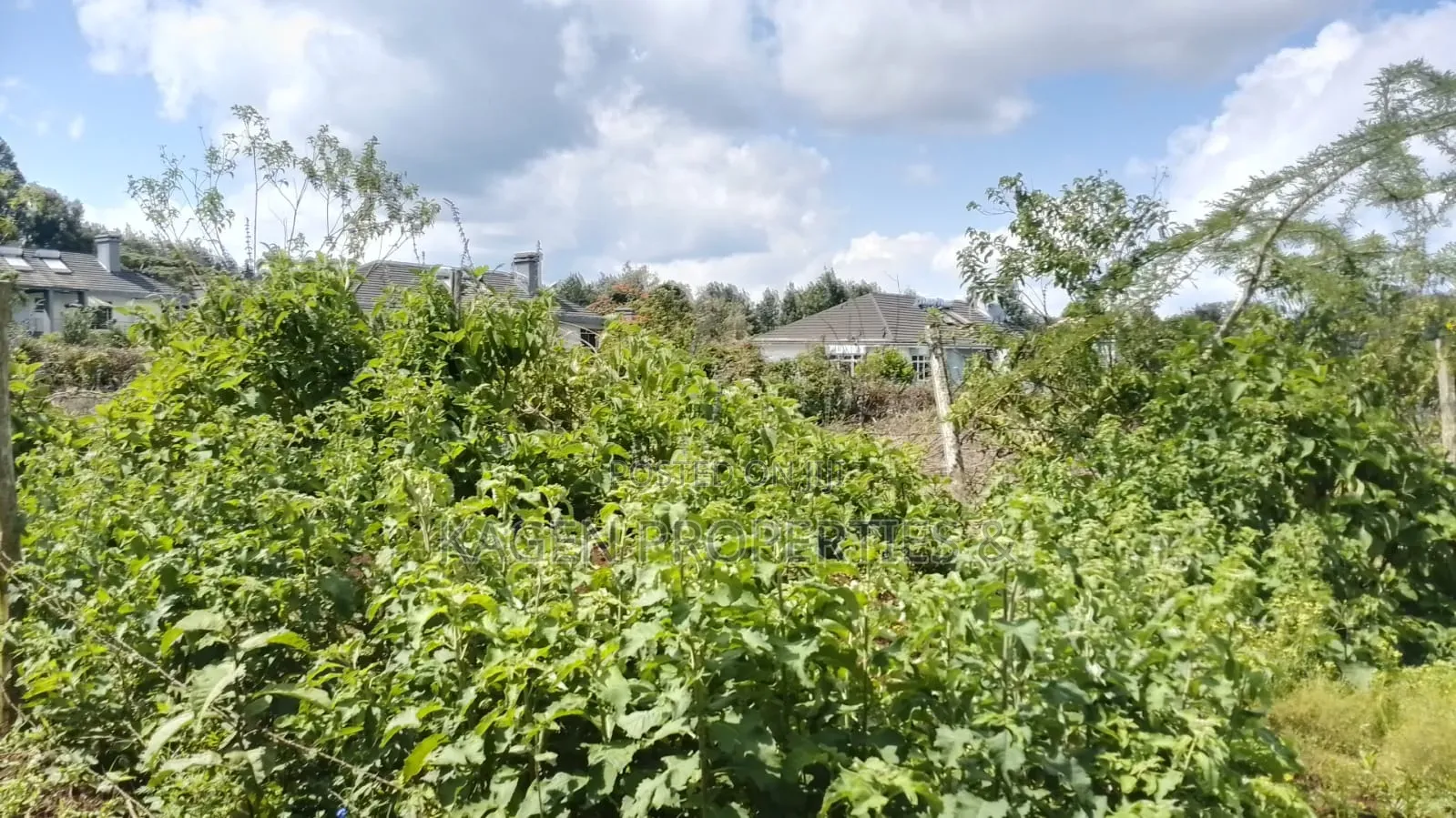 0.5 Acres in Kibiko Ngong for Sale