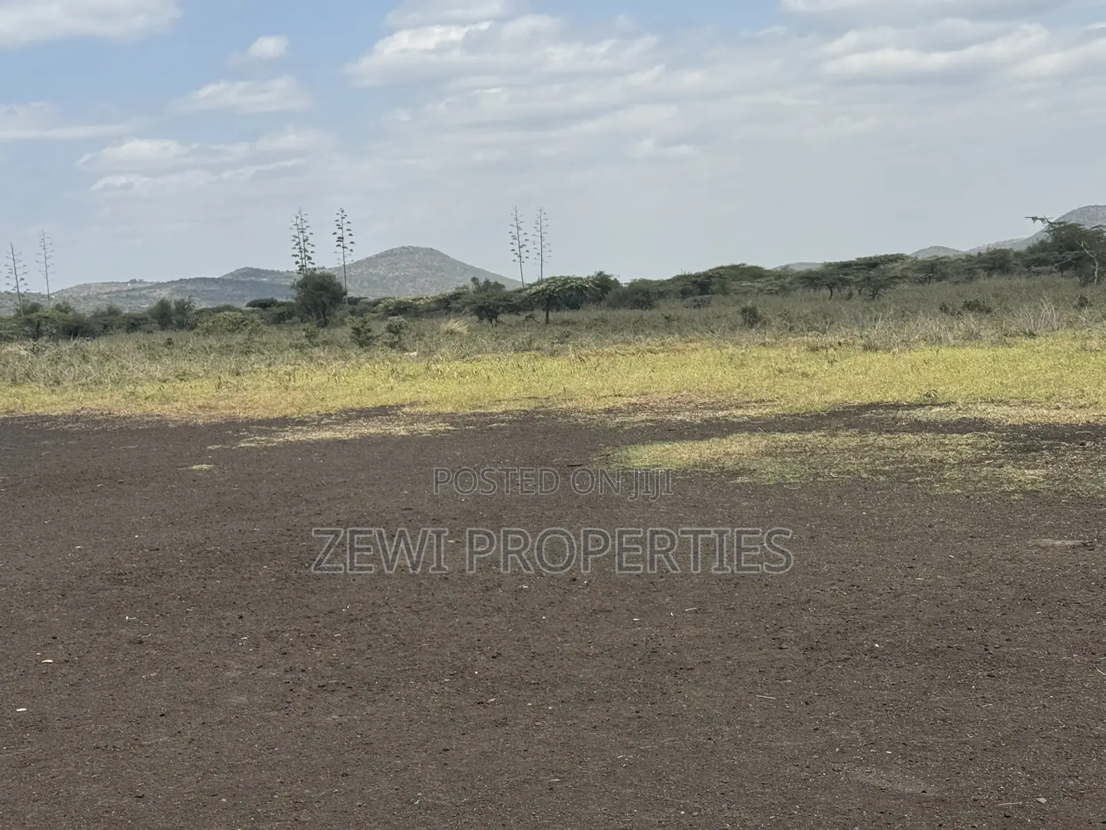 49 Acres Kisamis