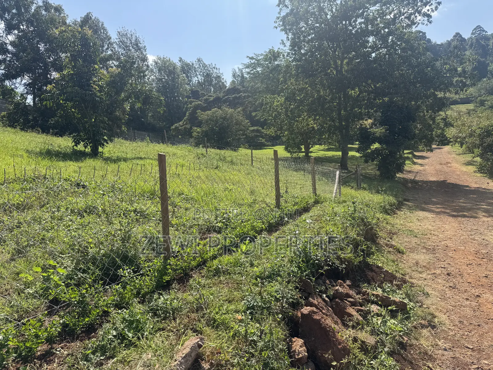 Quarter Acre Ngong